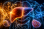 Hydrogen Water and Metabolic Health: What the Liver Research Actually Shows