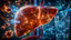 Hydrogen Water and Liver Health: What Recent Research Suggests