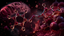 Resveratrol and Cellular Health: Where Molecular Hydrogen Fits the Antioxidant Story
