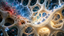Hydrogen Water and Bone Health: What the Recent Research Suggests About Osteoporosis, Fracture Healing, and Aging Bone