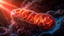 Hydrogen Water and Red Light Therapy: What They Have in Common